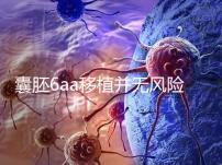 囊胚6aa移植并無風險,術長僅15分鐘,別讓心情影響成功率