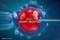 你知道嗎?通過親子鑒定補辦出生證也能給寶寶上戶口