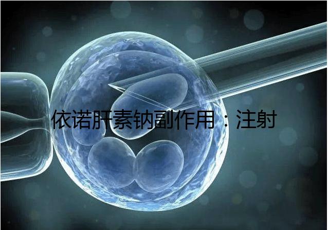 依諾肝素鈉副作用:注射過(guò)量可能會(huì)導(dǎo)致過(guò)敏