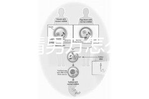 人工授精男方怎么取精？2種取精過程分別適合不同人群
