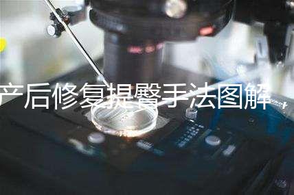 產(chǎn)后修復(fù)提臀手法圖解,堅持做這3大運(yùn)動快速告別媽媽臀