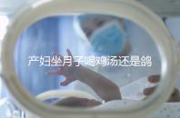 產(chǎn)婦坐月子喝雞湯還是鴿子湯?3個(gè)方面對比分析