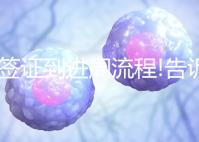 從簽證到進周流程!告訴你怎么去馬來西亞做試管嬰兒