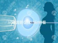 從降調到促排!3分鐘看完試管嬰兒長方案流程步驟