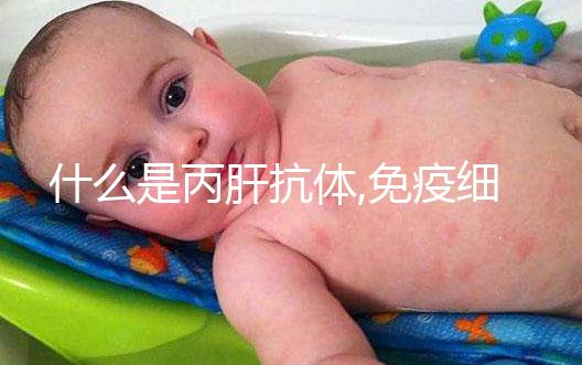 什么是丙肝抗體,免疫細(xì)胞生產(chǎn),介紹了解不針對病毒本身