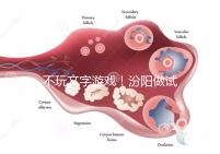 不玩文字游戲！汾陽(yáng)做試管嬰兒成功率和費(fèi)用一覽