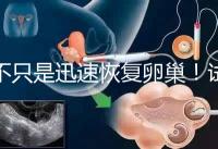 不只是迅速恢復卵巢！試管取卵后吃蘿卜的3大好處匯總