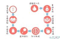 專治停經、絕經、卵巢早衰？利維愛的作用與適應癥分析