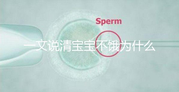 一文說(shuō)清寶寶不餓為什么瘋狂找奶,找準(zhǔn)原因才好解決