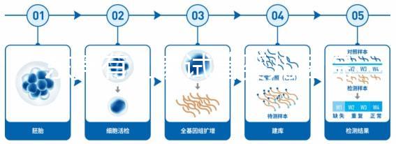 東莞有幾家試管嬰兒醫(yī)院？不同生殖中心費(fèi)用和成功率詳解