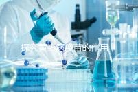 探究黃熱病疫苗的作用，去非洲、南美洲國家接種很有必要