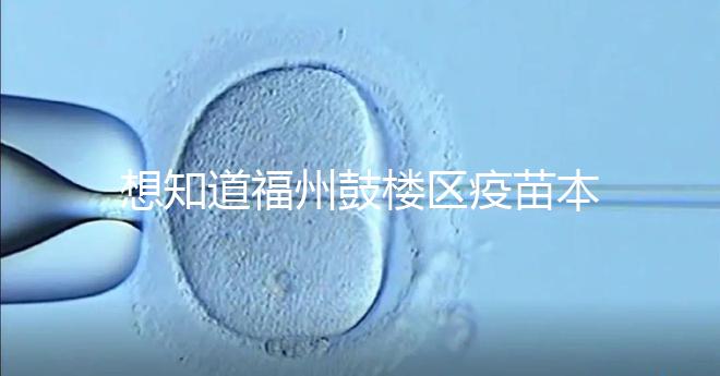 想知道福州鼓樓區疫苗本丟失怎么辦看這，到哪里補辦要弄清