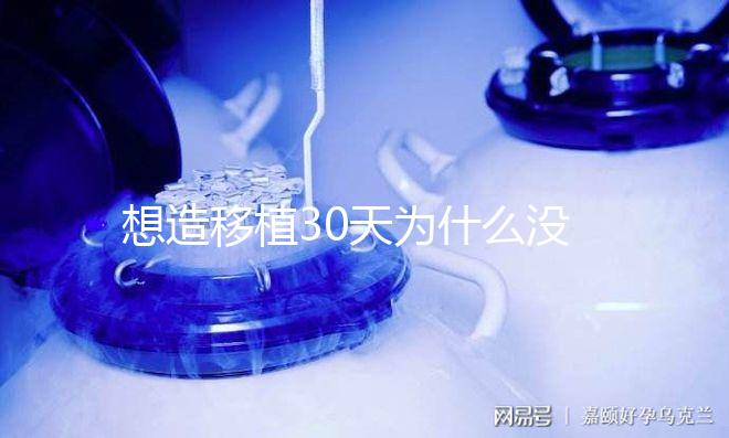 想造移植30天為什么沒(méi)有胎心胎芽瞧,正不正常看完清楚