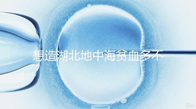 想造湖北地中海貧血多不多戳，武漢發(fā)病率高不高看這篇