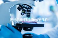 懷孕幾個月能看出胎兒性別?不清楚的姐妹們都看過來!