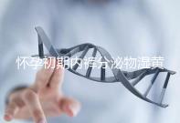 懷孕初期內(nèi)褲分泌物濕黃是男孩！5大原因為你揭開背后真相