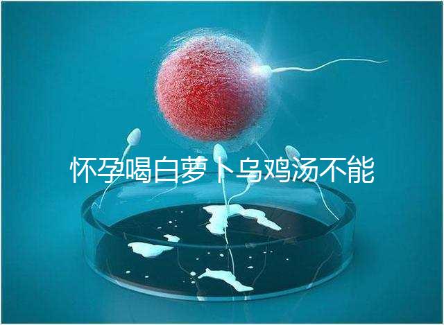 懷孕喝白蘿卜烏雞湯不能止孕吐？選對做法安胎又養顏