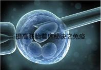 提高胚胎著床秘訣之免疫球蛋白，移植前后注射作用竟不同