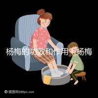 楊梅的功效和作用(楊梅的功效和作用禁忌 營(yíng)養(yǎng)價(jià)值)