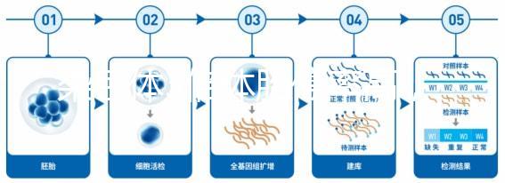 染色體3倍體胎停率高，治療首選三代試管