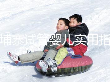 柬埔寨試管嬰兒實用指南：心中有“數”，造娃不慌