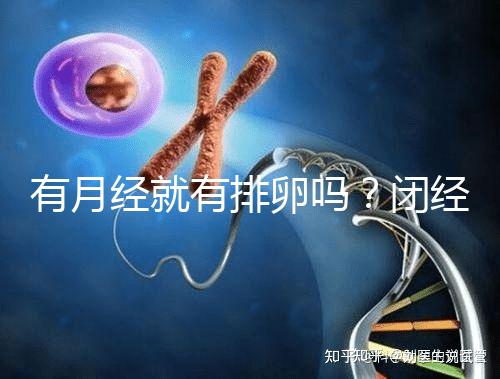有月經就有排卵嗎？閉經、絕經還能做試管嬰兒嗎？