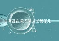 有誰在漯河做過試管嬰兒，具體費用及成功率是多少？