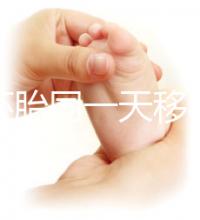 新鮮胚胎同一天移植的植入是否會有早晚,幾天三分鐘就能說清楚