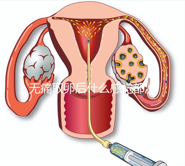 無痛取卵后什么感覺都沒有異常是謠言！只會出現一部分...