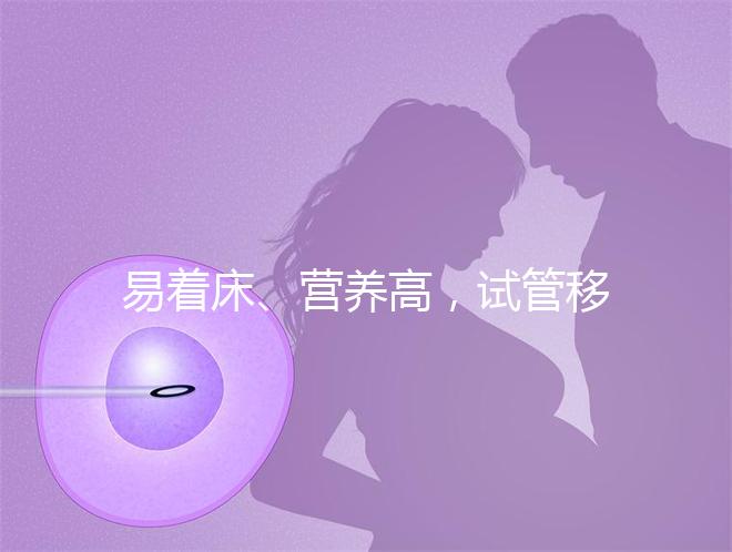 易著床、營養高，試管移植后吃獼猴桃的好處你不知道！