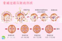 昆明盤龍區(qū)落戶親子鑒定在哪里看這,2024流程、費(fèi)用都有