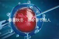 春夏秋冬，哪個季節(jié)做人工授精成功率最高？
