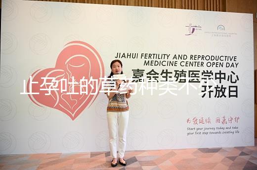 止孕吐的草藥種類不少，胡椒草、半夏…幫你輕松渡過(guò)孕早期