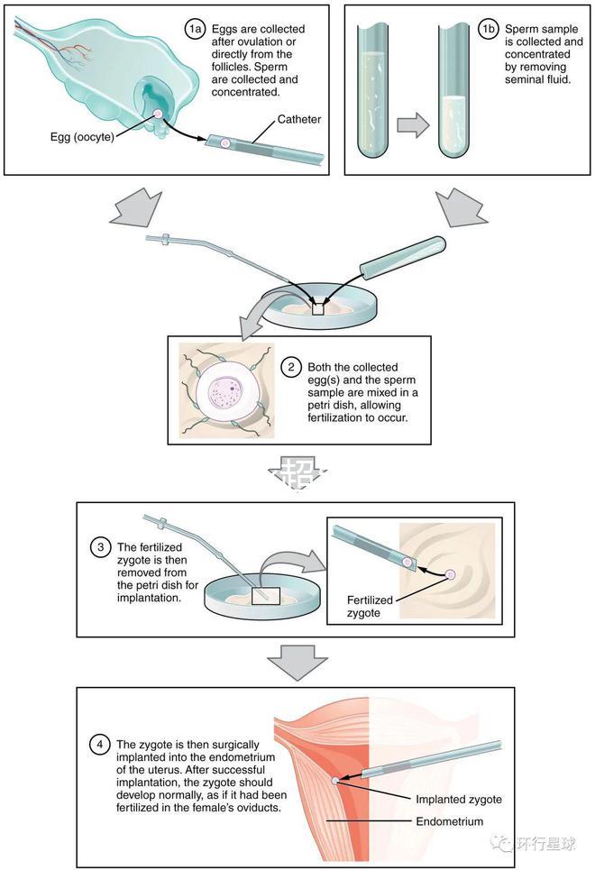 武漢四維彩超費用表整理，內附市婦保院超全預約攻略