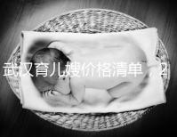 武漢育兒嫂價格清單，2024年橋口等正規(guī)機構(gòu)不要錯過