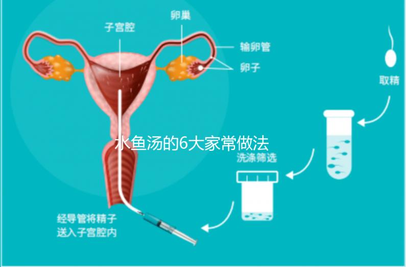 水魚湯的6大家常做法 輕松好學功效絕佳