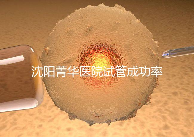 沈陽(yáng)菁華醫(yī)院試管成功率高嗎?教你4招提升胚胎著床機(jī)會(huì)