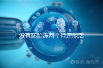 沒有胚胎凍兩個月還能活著嗎？60s會告訴你怎么樣？