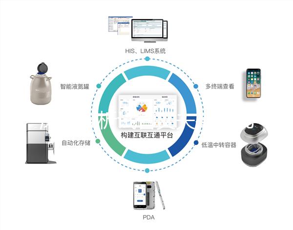深入分析試管丈夫排精幾天后取卵正常，找到正確的時間更容易懷孕