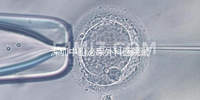 深圳中山泌尿外科醫(yī)院試管成功率參考,一次就中并非神話