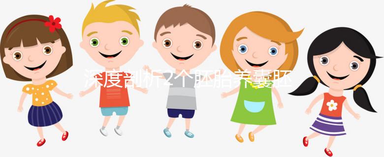 深度剖析2個胚胎養囊胚的成功率,可以養成幾個一目了然