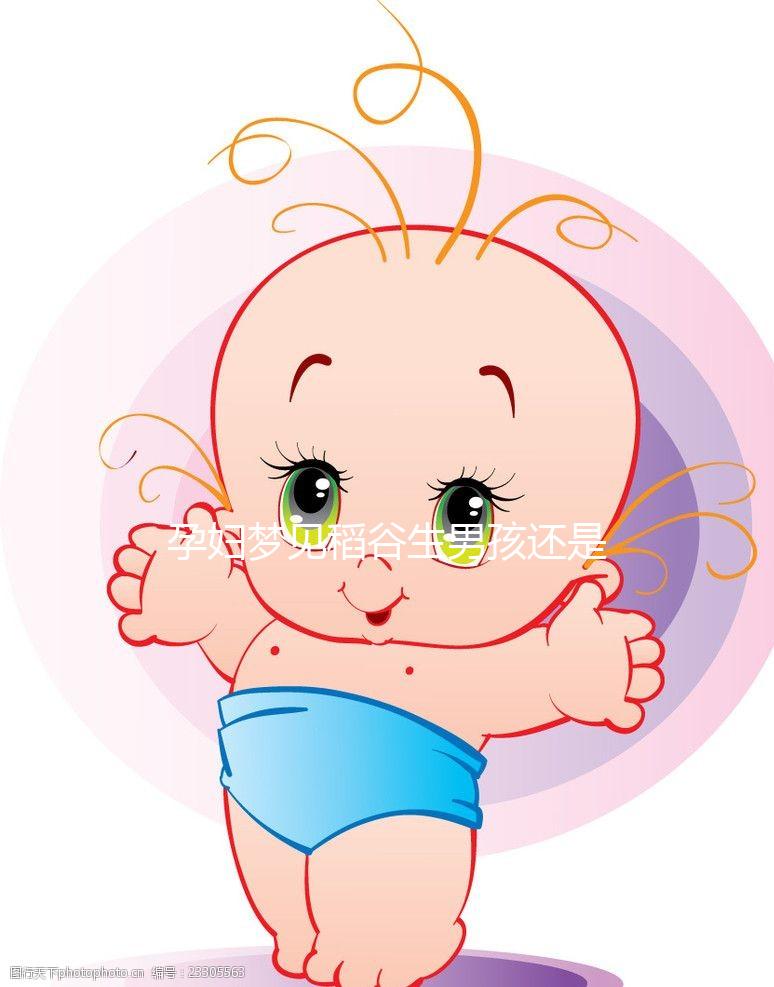 孕婦夢(mèng)見(jiàn)稻谷生男孩還是生女孩?相關(guān)胎夢(mèng)含義解讀