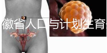 安徽省人口與計劃生育條例出臺 2024年產假被延長