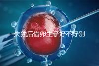 失獨后借卵生子好不好別還不造，供卵or領養過來人感受更深