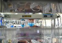 女人打胎后的風水忌諱速來觀看，破解方法或能起關鍵作用