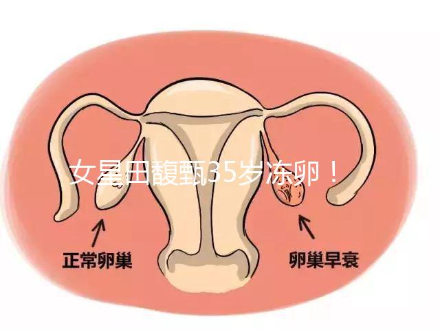 女星田馥甄35歲凍卵！揭秘你不知道的明星凍卵過程