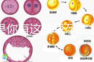 如果你有這些早孕癥狀，那恭喜試管嬰兒成功懷上啦