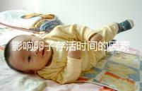 影響卵子存活時間的因素剖析:年齡起主導作用