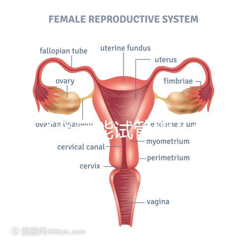 得了腎病能試管嬰兒懷孕嗎？哪些腎臟病不適宜懷孕？