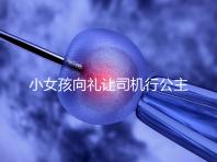 小女孩向禮讓司機行公主禮，這家庭教育得到網(wǎng)友們認(rèn)可